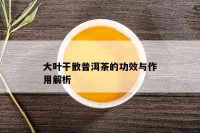 大叶干散普洱茶的功效与作用解析