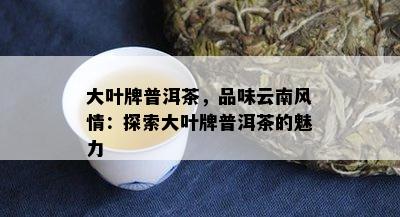 大叶牌普洱茶，品味云南风情：探索大叶牌普洱茶的魅力