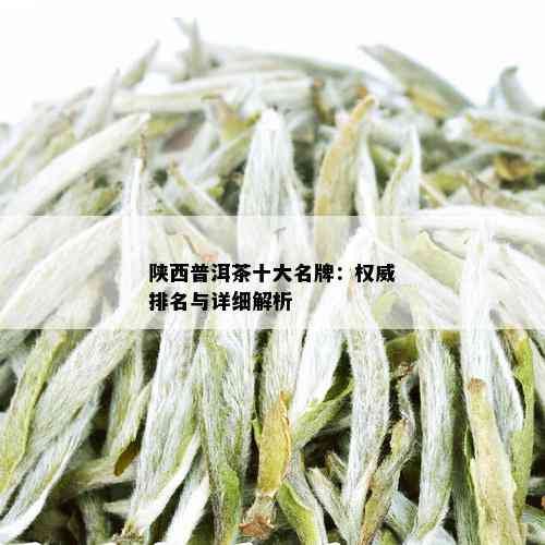 陕西普洱茶十大名牌：权威排名与详细解析