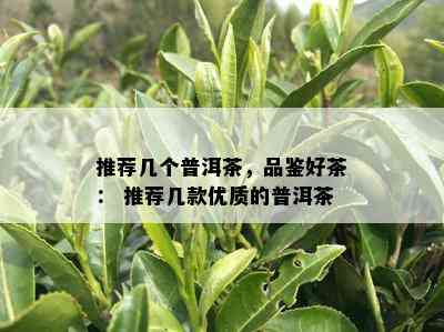 推荐几个普洱茶，品鉴好茶： 推荐几款优质的普洱茶