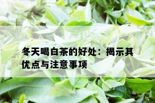 冬天喝白茶的好处：揭示其优点与注意事项