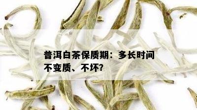 普洱白茶保质期：多长时间不变质、不坏？