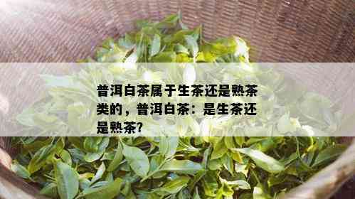 普洱白茶属于生茶还是熟茶类的，普洱白茶：是生茶还是熟茶？