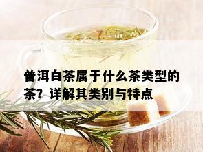 普洱白茶属于什么茶类型的茶？详解其类别与特点