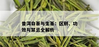 普洱白茶与生茶：区别、功效与禁忌全解析