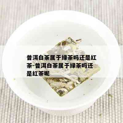 普洱白茶属于绿茶吗还是红茶-普洱白茶属于绿茶吗还是红茶呢