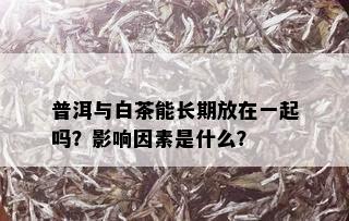 普洱与白茶能长期放在一起吗？影响因素是什么？