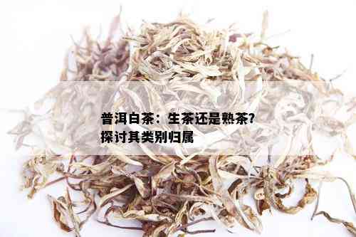 普洱白茶：生茶还是熟茶？探讨其类别归属