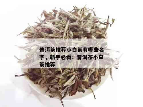 普洱茶推荐小白茶有哪些名字，新手必看：普洱茶小白茶推荐