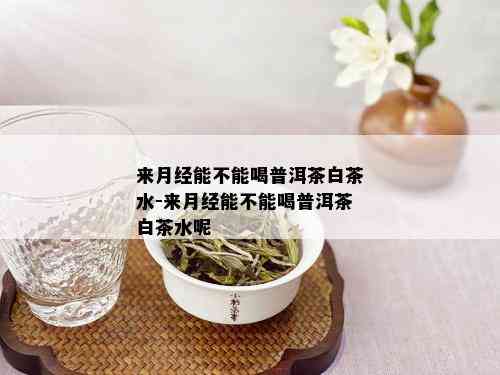 来月经能不能喝普洱茶白茶水-来月经能不能喝普洱茶白茶水呢