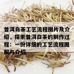 普洱白茶工艺流程图片及介绍，探索普洱白茶的制作过程：一份详细的工艺流程图解与介绍