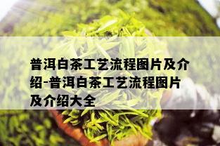 普洱白茶工艺流程图片及介绍-普洱白茶工艺流程图片及介绍大全