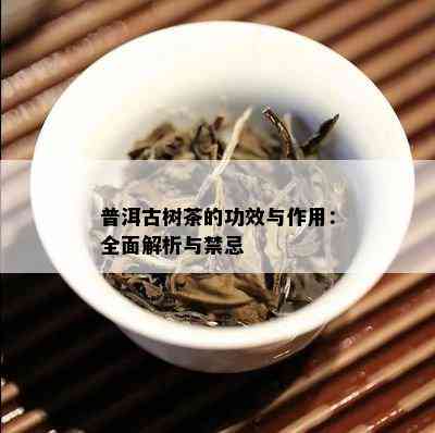 普洱古树茶的功效与作用：全面解析与禁忌