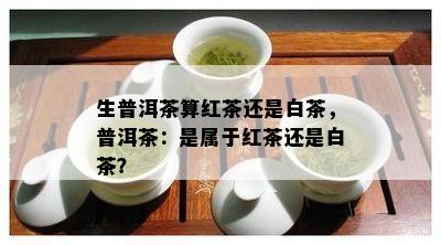 生普洱茶算红茶还是白茶，普洱茶：是属于红茶还是白茶？