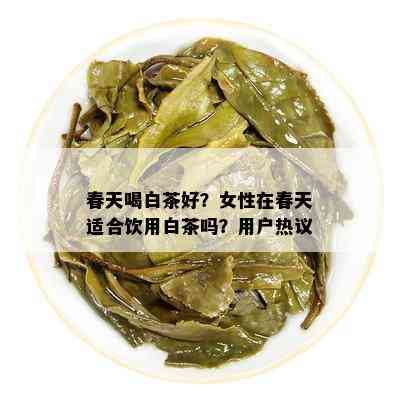 春天喝白茶好？女性在春天适合饮用白茶吗？用户热议