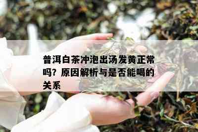 普洱白茶冲泡出汤发黄正常吗？原因解析与是否能喝的关系