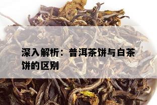 深入解析：普洱茶饼与白茶饼的区别