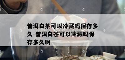 普洱白茶可以冷藏吗保存多久-普洱白茶可以冷藏吗保存多久啊