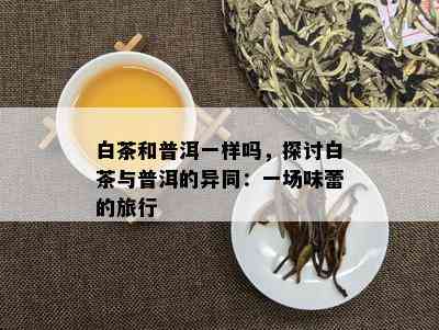 白茶和普洱一样吗，探讨白茶与普洱的异同：一场味蕾的旅行