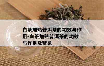 白茶加熟普洱茶的功效与作用-白茶加熟普洱茶的功效与作用及禁忌