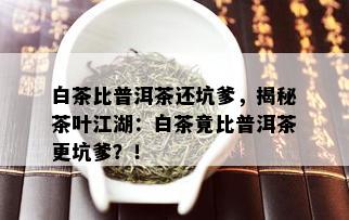 白茶比普洱茶还坑爹，揭秘茶叶江湖：白茶竟比普洱茶更坑爹？！