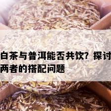 白茶与普洱能否共饮？探讨两者的搭配问题