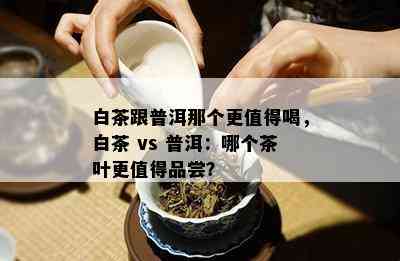 白茶跟普洱那个更值得喝，白茶 vs 普洱：哪个茶叶更值得品尝？