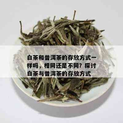 白茶和普洱茶的存放方式一样吗，相同还是不同？探讨白茶与普洱茶的存放方式