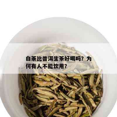 白茶比普洱生茶好喝吗？为何有人不能饮用？