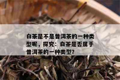 白茶是不是普洱茶的一种类型呢，探究：白茶是否属于普洱茶的一种类型？