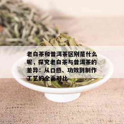 老白茶和普洱茶区别是什么呢，探究老白茶与普洱茶的差异：从口感、功效到制作工艺的全面对比