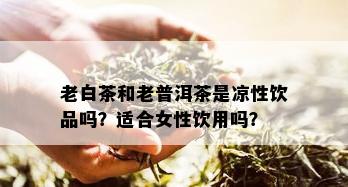 老白茶和老普洱茶是凉性饮品吗？适合女性饮用吗？