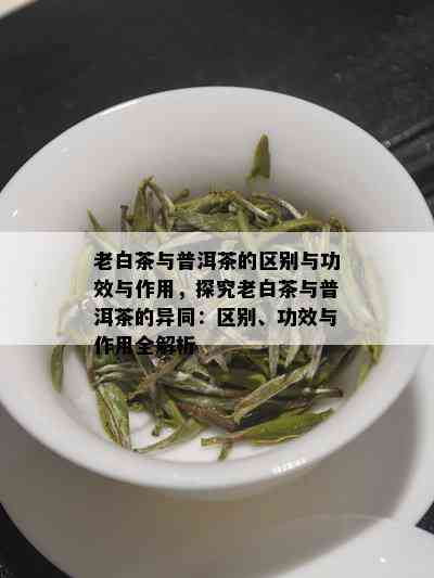 老白茶与普洱茶的区别与功效与作用，探究老白茶与普洱茶的异同：区别、功效与作用全解析