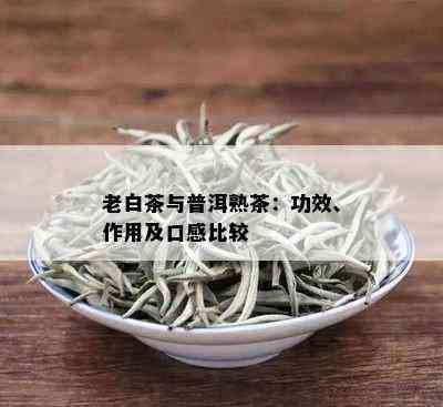 老白茶与普洱熟茶：功效、作用及口感比较