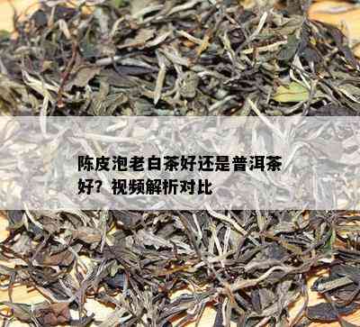 陈皮泡老白茶好还是普洱茶好？视频解析对比