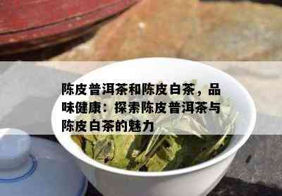 陈皮普洱茶和陈皮白茶，品味健康：探索陈皮普洱茶与陈皮白茶的魅力