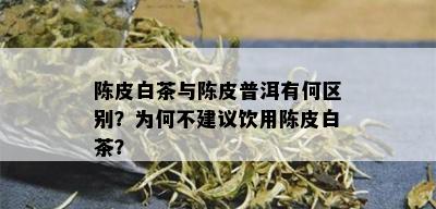 陈皮白茶与陈皮普洱有何区别？为何不建议饮用陈皮白茶？