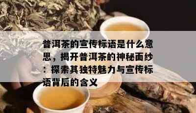 普洱茶的宣传标语是什么意思，揭开普洱茶的神秘面纱：探索其独特魅力与宣传标语背后的含义