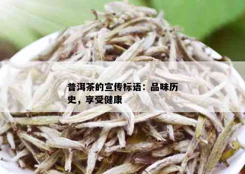 普洱茶的宣传标语：品味历史，享受健康