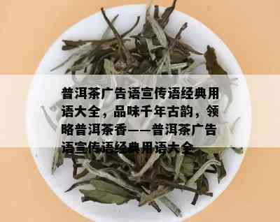 普洱茶广告语宣传语经典用语大全，品味千年古韵，领略普洱茶香——普洱茶广告语宣传语经典用语大全