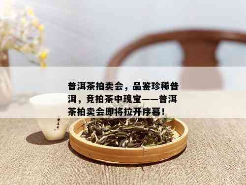 普洱茶拍卖会，品鉴珍稀普洱，竞拍茶中瑰宝——普洱茶拍卖会即将拉开序幕！