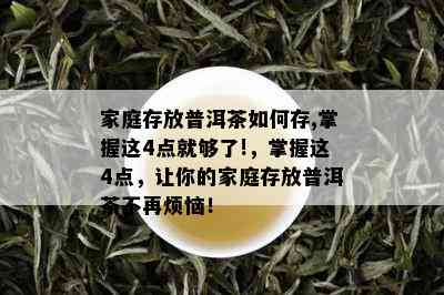 家庭存放普洱茶如何存,掌握这4点就够了!，掌握这4点，让你的家庭存放普洱茶不再烦恼！