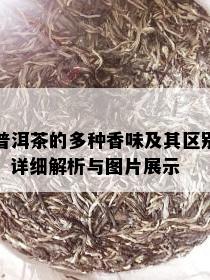 普洱茶的多种香味及其区别：详细解析与图片展示