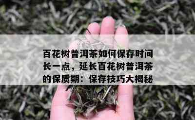 百花树普洱茶如何保存时间长一点，延长百花树普洱茶的保质期：保存技巧大揭秘