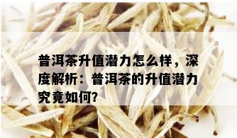 普洱茶升值潜力怎么样，深度解析：普洱茶的升值潜力究竟如何？