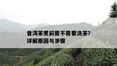 普洱茶煮前需不需要洗茶？详解原因与步骤