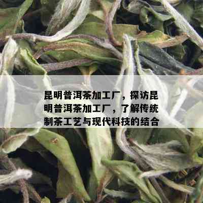 昆明普洱茶加工厂，探访昆明普洱茶加工厂，了解传统制茶工艺与现代科技的结合