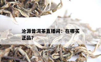 沧源普洱茶直播间：在哪买正品？