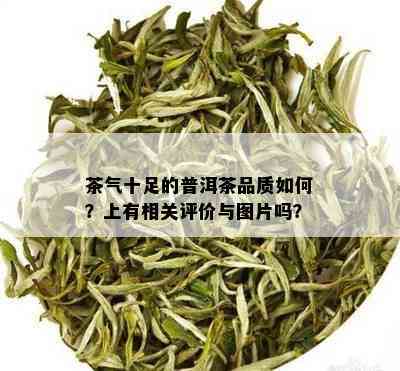 茶气十足的普洱茶品质如何？上有相关评价与图片吗？