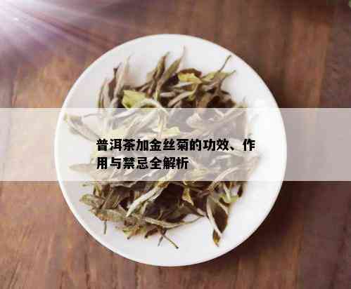 普洱茶加金丝菊的功效、作用与禁忌全解析